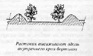Волшебный сад